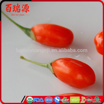 Melhor venda ningxia goji berry goji bagas secas goji berry com preço razoável